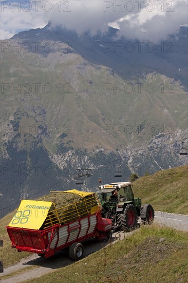 Tractor pulling fodder wagon with grass crop at harvest