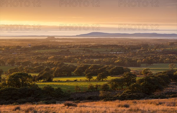 View of farmland on the coastal plain at sunset