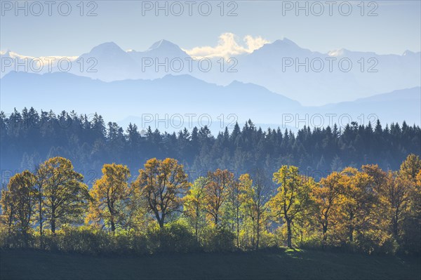 Aussicht Emmental