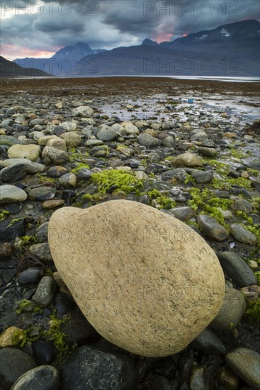 Rock on beach during low tide at sunset