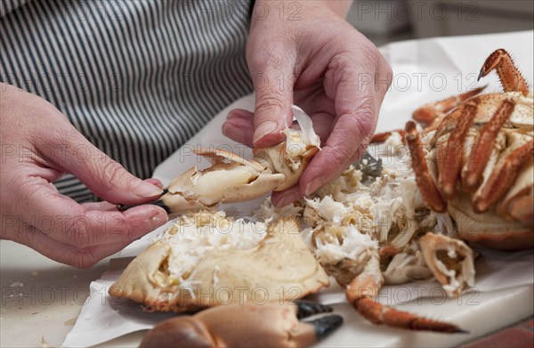 Person preparing dressed crab