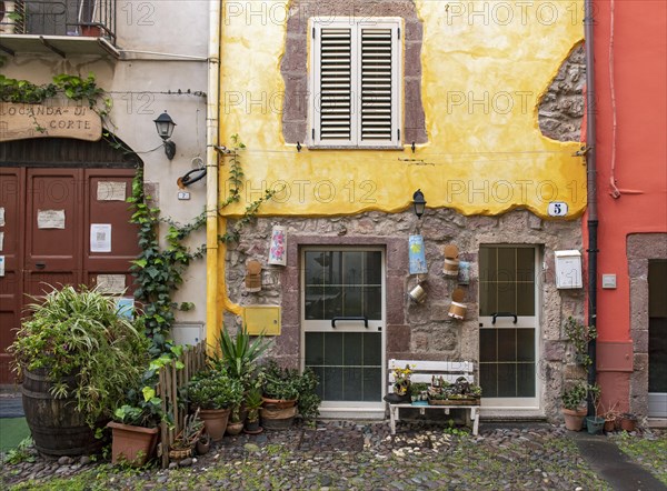 Colorful houses