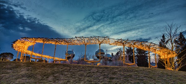 Decorated park with lights in the evening