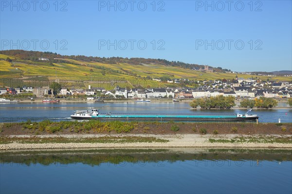 View of Ruedesheim on the Rhine with vineyards and UNESCO Abbey St. Hildegard in autumn from the harbour in Bingen