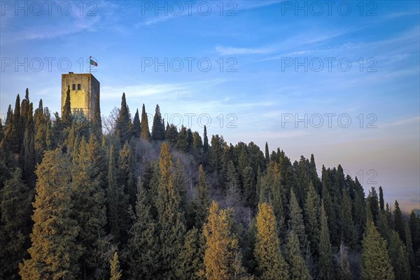 Castle tower