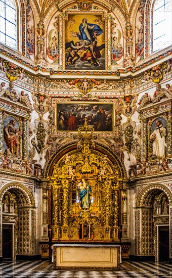 Main altar with Madonna