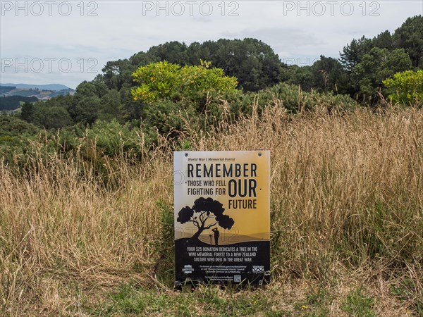 Reforestation sign at Cathedral Cove Walk