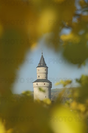 View through autumn leaves at Hexenturm in Idstein