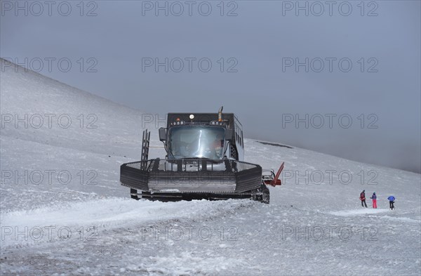 Snow caterpillar