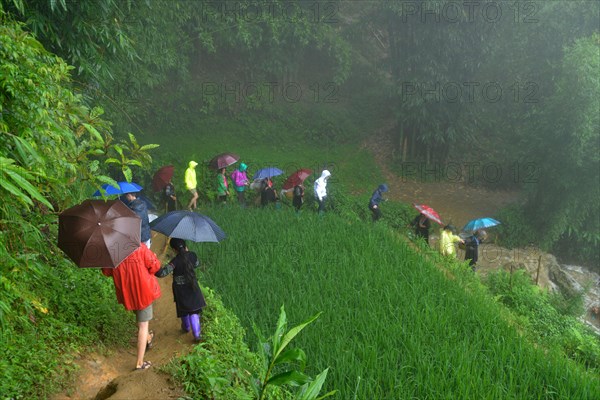 Hiking