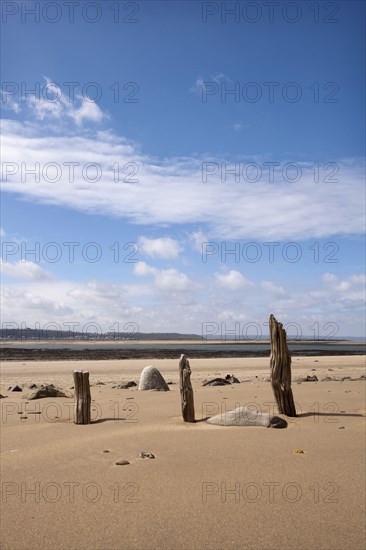 Remains of wooden groynes of the tidal defence on the beach