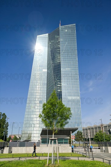 European Central Bank ECB