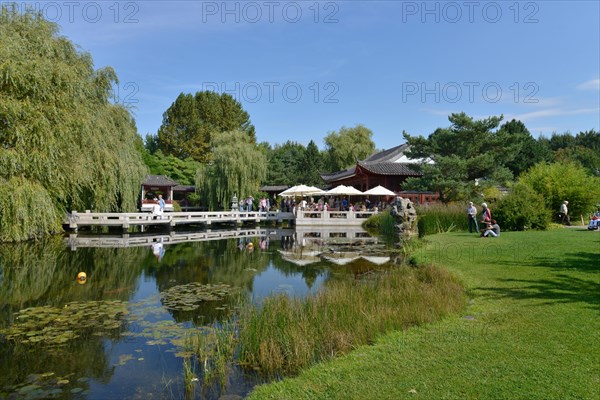 Chinese Garden