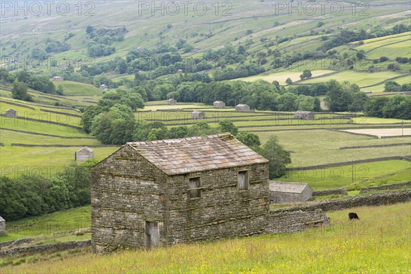 Stone barn