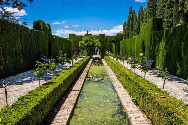 Generalife