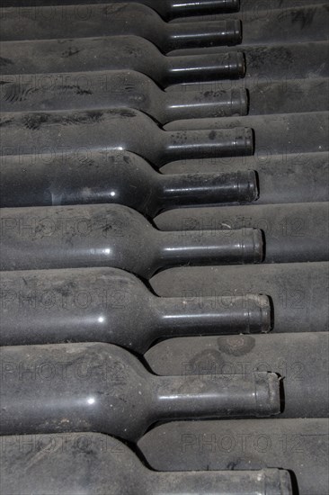 Dust-covered old wine bottles. Guasti Clemente of Nice Northern Italy