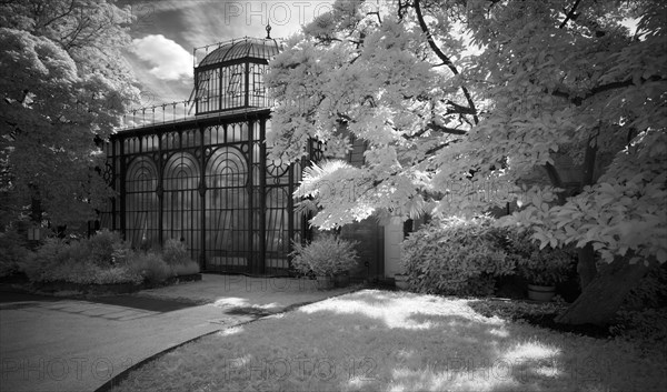 Greenhouse at the Moorish country house