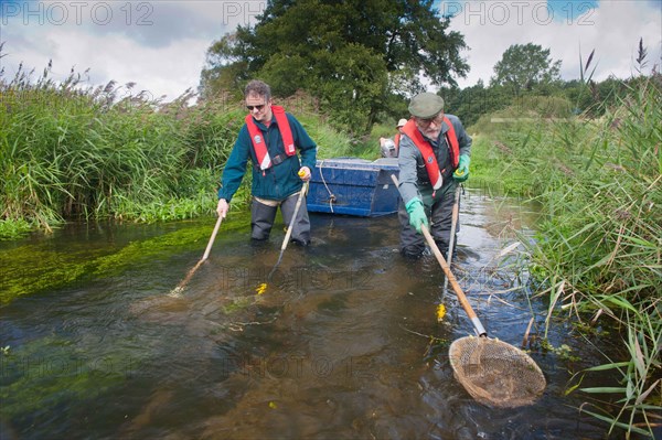 Conservation workers netting river during survey