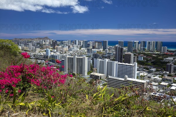 View over Honolulu to Diamond Head