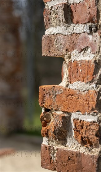 Nahaufnahme einer alten Ziegelsteinmauer im Schlosspark von Putbus