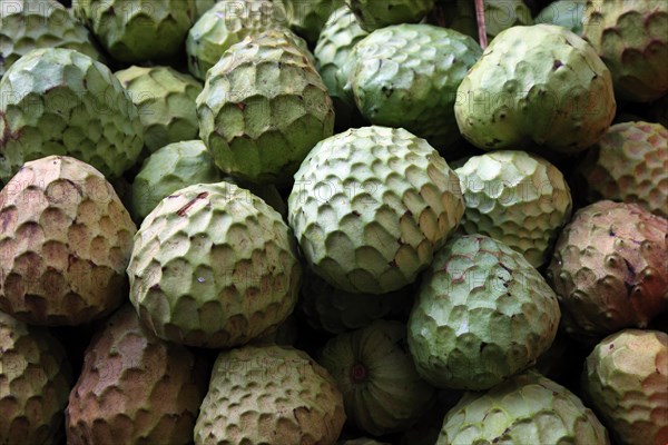 Cherimoya