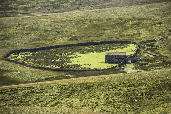 View of a Dystone Sheepfold and Stone Barn