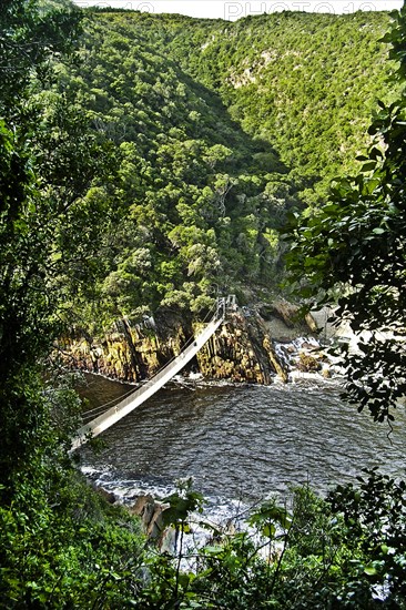 Storms River Mouth Suspension Bridge