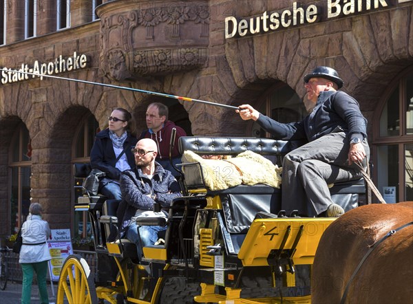 Tourist guide with horse-drawn carriage