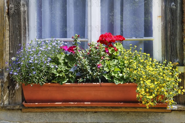 Blumenkasten am Fenster im Kraeutergarten des ehemaligen Frauenklosters Inzigkofen