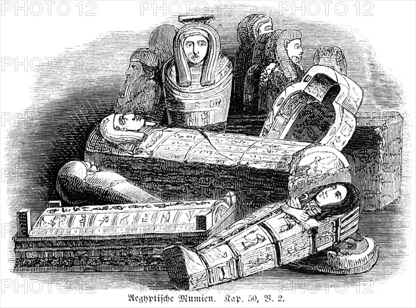 Egyptian mummies