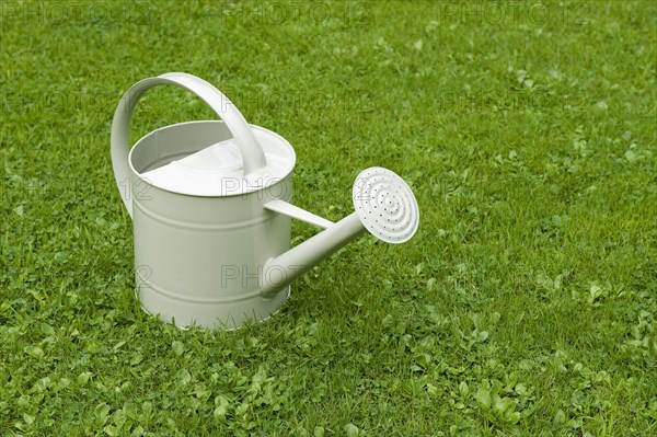 Painted metal watering can on garden lawn