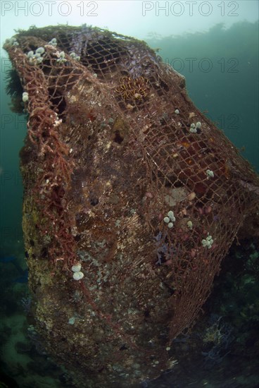 Cast back fishing net caught over rocks with coral