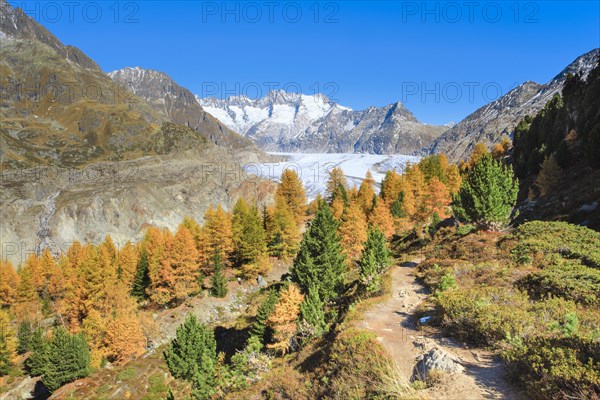 Grosser Aletschgletscher und Wannenhoerner