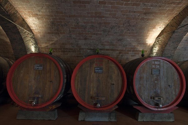 Barrels of Chianti red wine