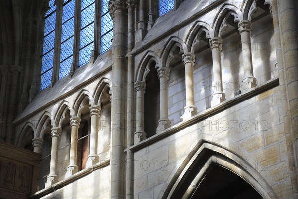 Gothic Basilica of Notre Dame