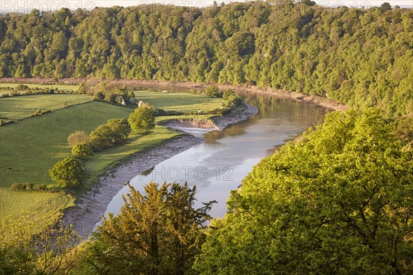 View of river with bank erosion at dawn