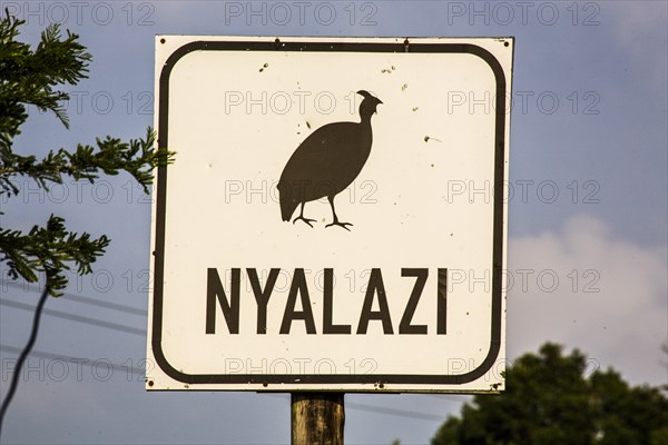 Guinea fowl sign