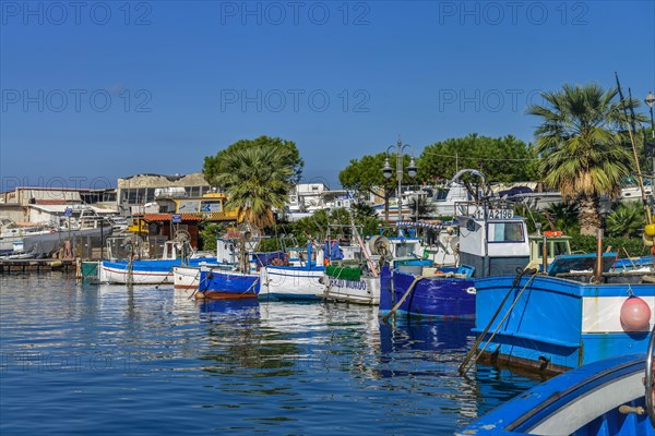 Fishing boats