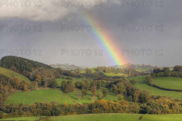 Rainbow and stormclouds over farmland with sheep in pasture