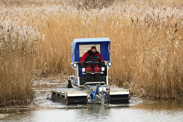 Habitat management for conservation