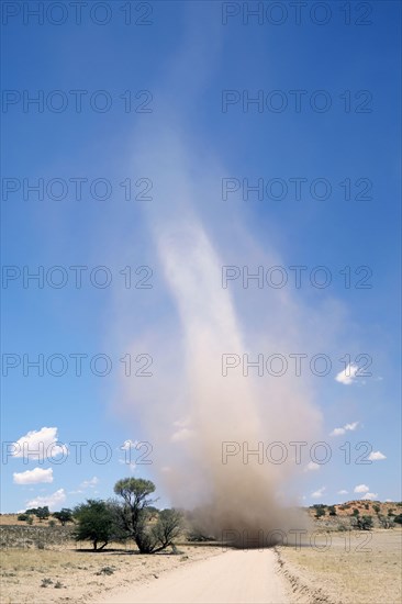 Dust devil cyclone crosses sand road in semi-desert