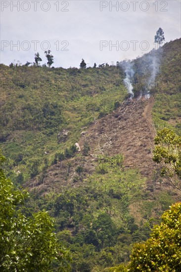 Forest fire in Madagascar