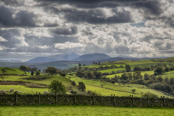 View of dry stone wall and farmland