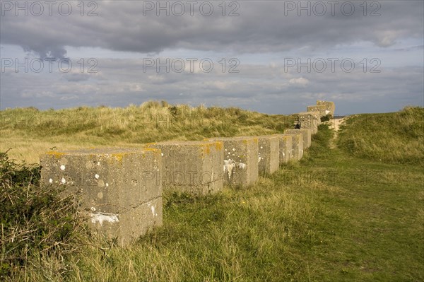 Suffolk coast at Minsmere