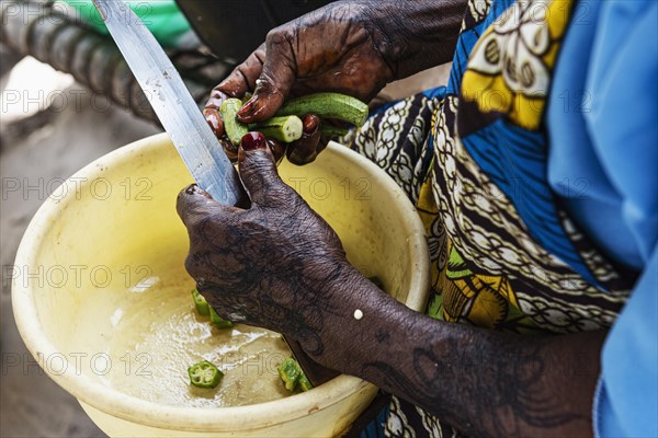 Woman cutting vegetables