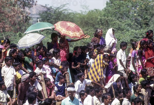Jam packed Jallikattu spectators seated on the bullock carts in Uranganpatti near Madurai