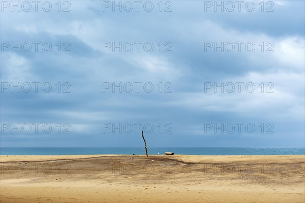 Wooden pole and driftwood on deserted beach