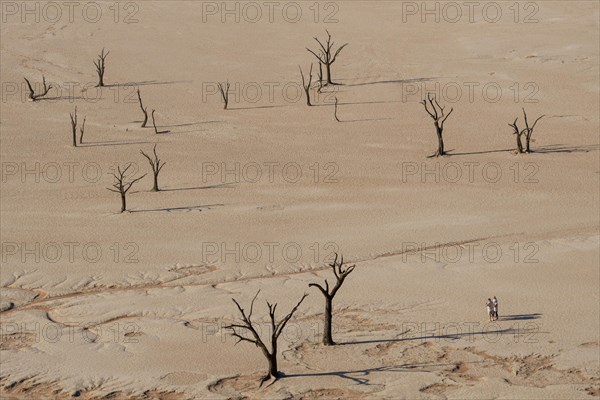 Three people in the desert