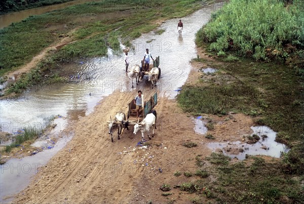 Collecting River Sand