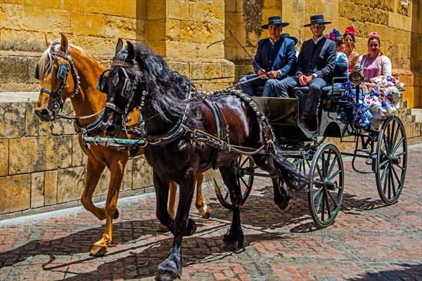 Horse-drawn carriage to the folk festival